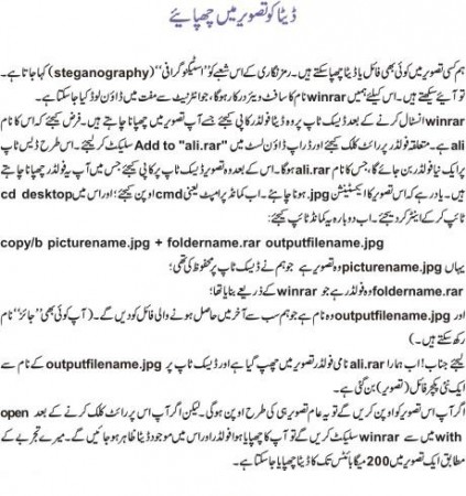 Data ko pic me chupaye